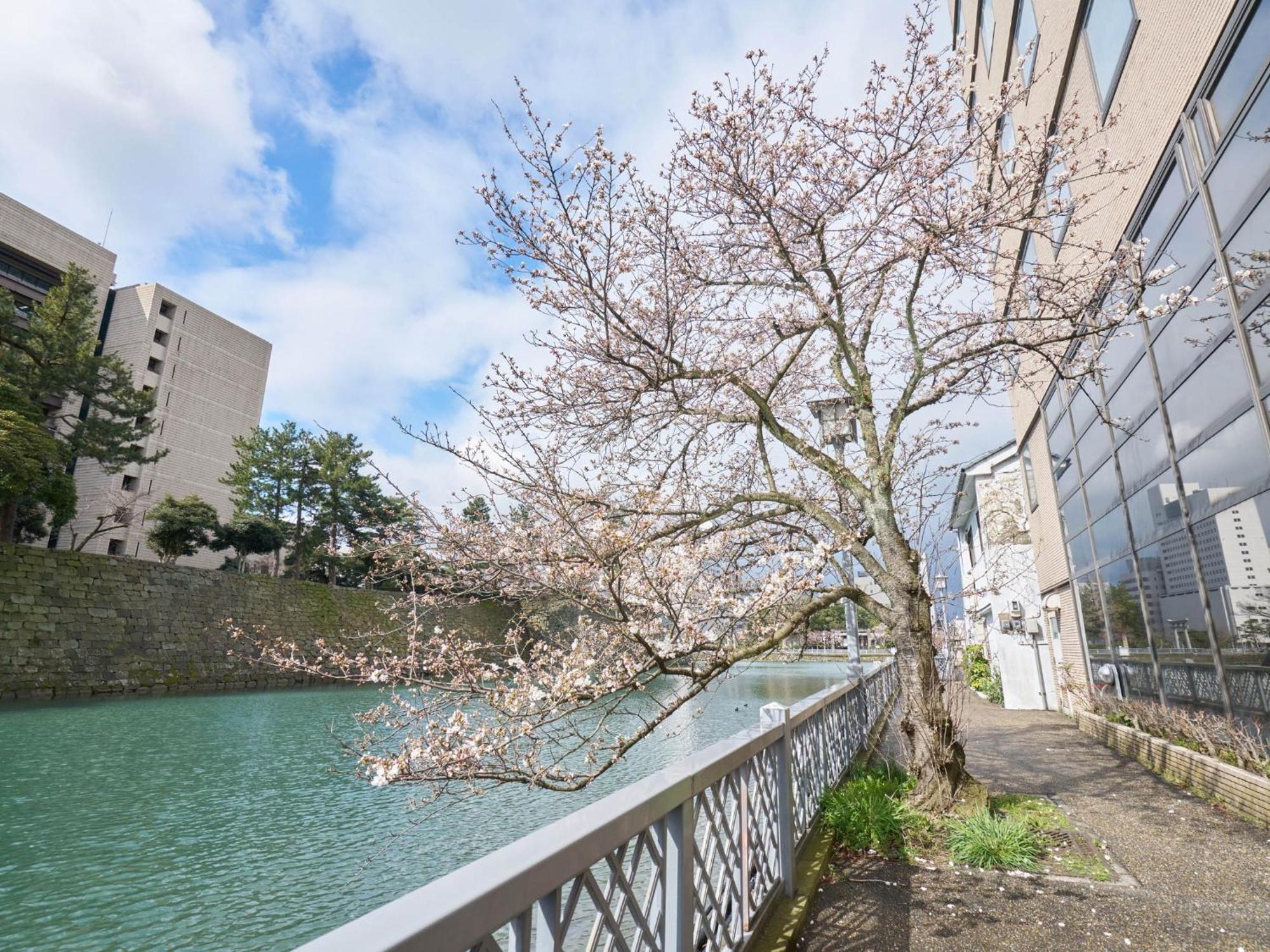 Hotel Fukui Castle - Vacation Stay 58696V 外观 照片