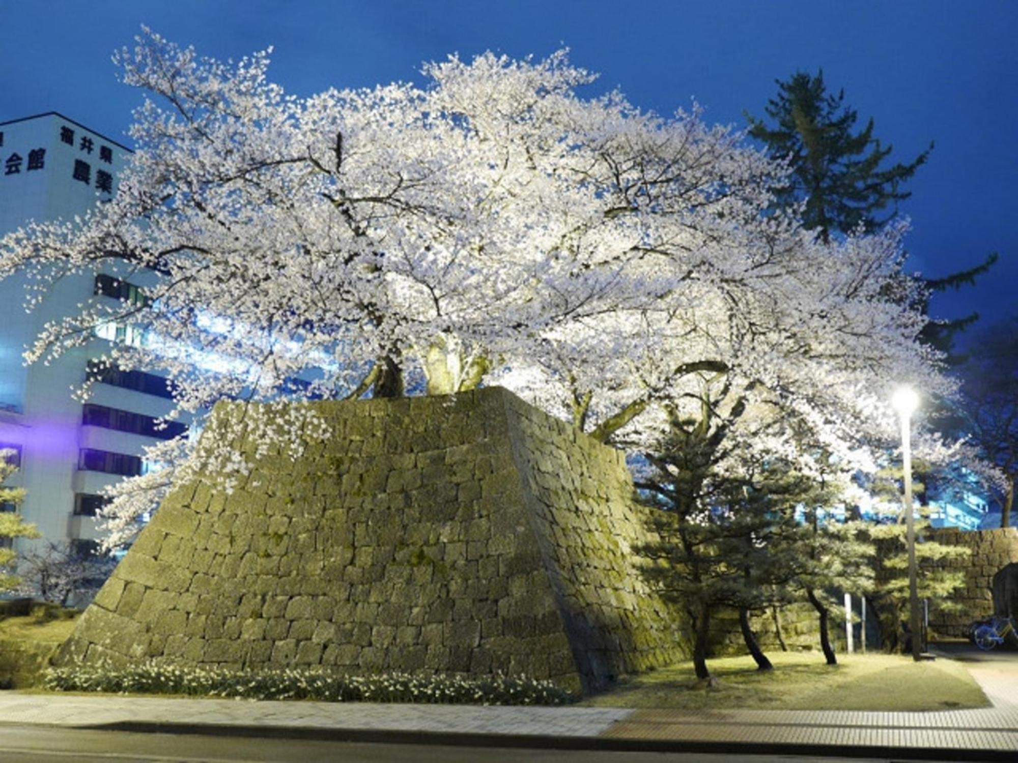 Hotel Fukui Castle - Vacation Stay 58696V 外观 照片